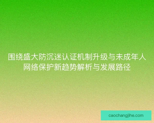 围绕盛大防沉迷认证机制升级与未成年人网络保护新趋势解析与发展路径