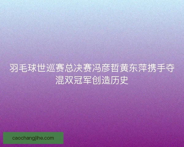 羽毛球世巡赛总决赛冯彦哲黄东萍携手夺混双冠军创造历史