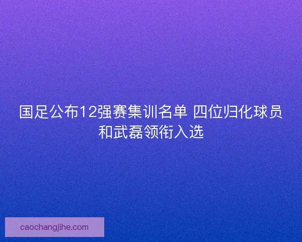 国足公布12强赛集训名单 四位归化球员和武磊领衔入选