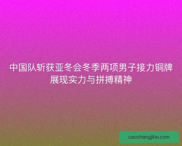 中国队斩获亚冬会冬季两项男子接力铜牌展现实力与拼搏精神
