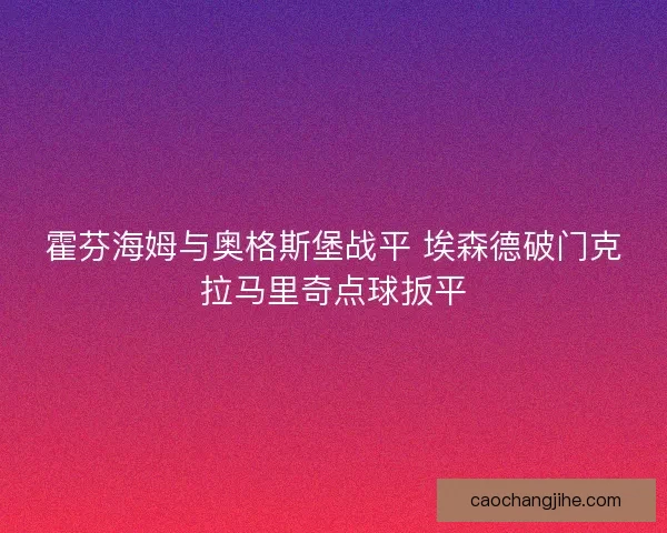 霍芬海姆与奥格斯堡战平 埃森德破门克拉马里奇点球扳平